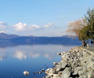 Archief bracciano2