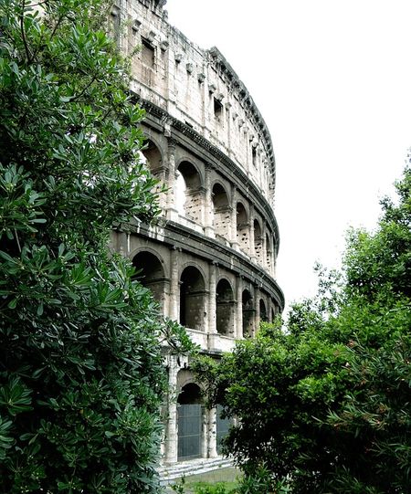 colosseogroen