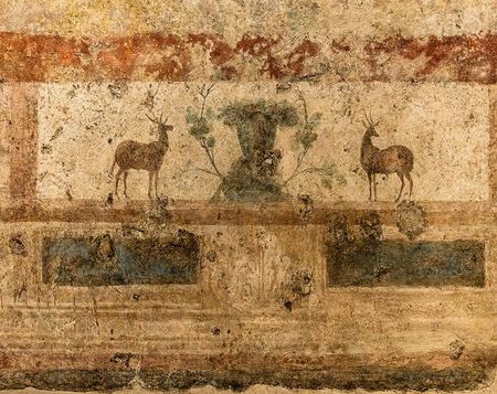 domus caracalla 5