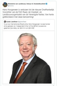 Archief hans hoogeveen