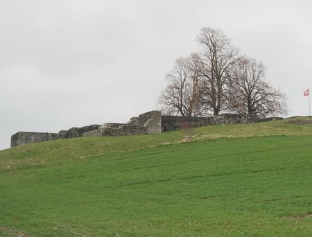 irgenhausen