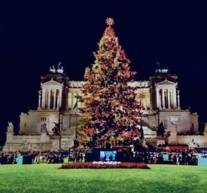 Archief kerstboom venezia