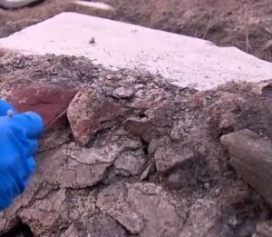 Archief mithras ostia2