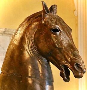 Archief paard 4