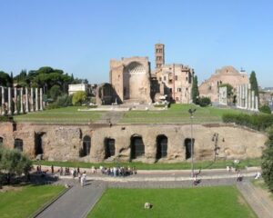 Archief venus roma